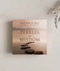 BK110 Pebbles Of Wisdom 450