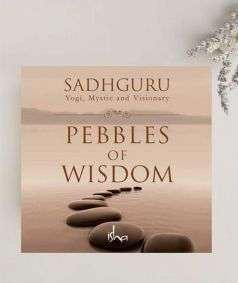 D-BK110-Pebbles of Wisdom