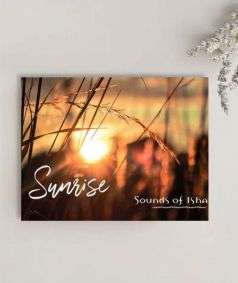 Sunrise (MP3 Music)